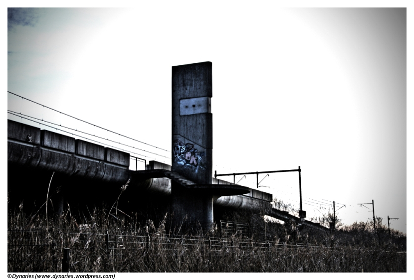 lelystad zuid